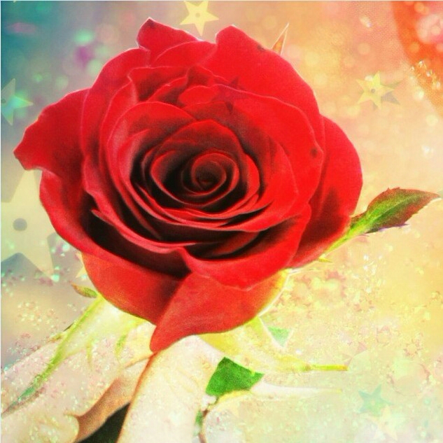 Picsart profile picture for @barely